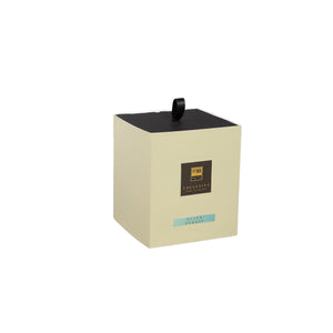 PTMD Exclusive Black Forest Scented Candle 900g - CANDLES - Beattys of Loughrea