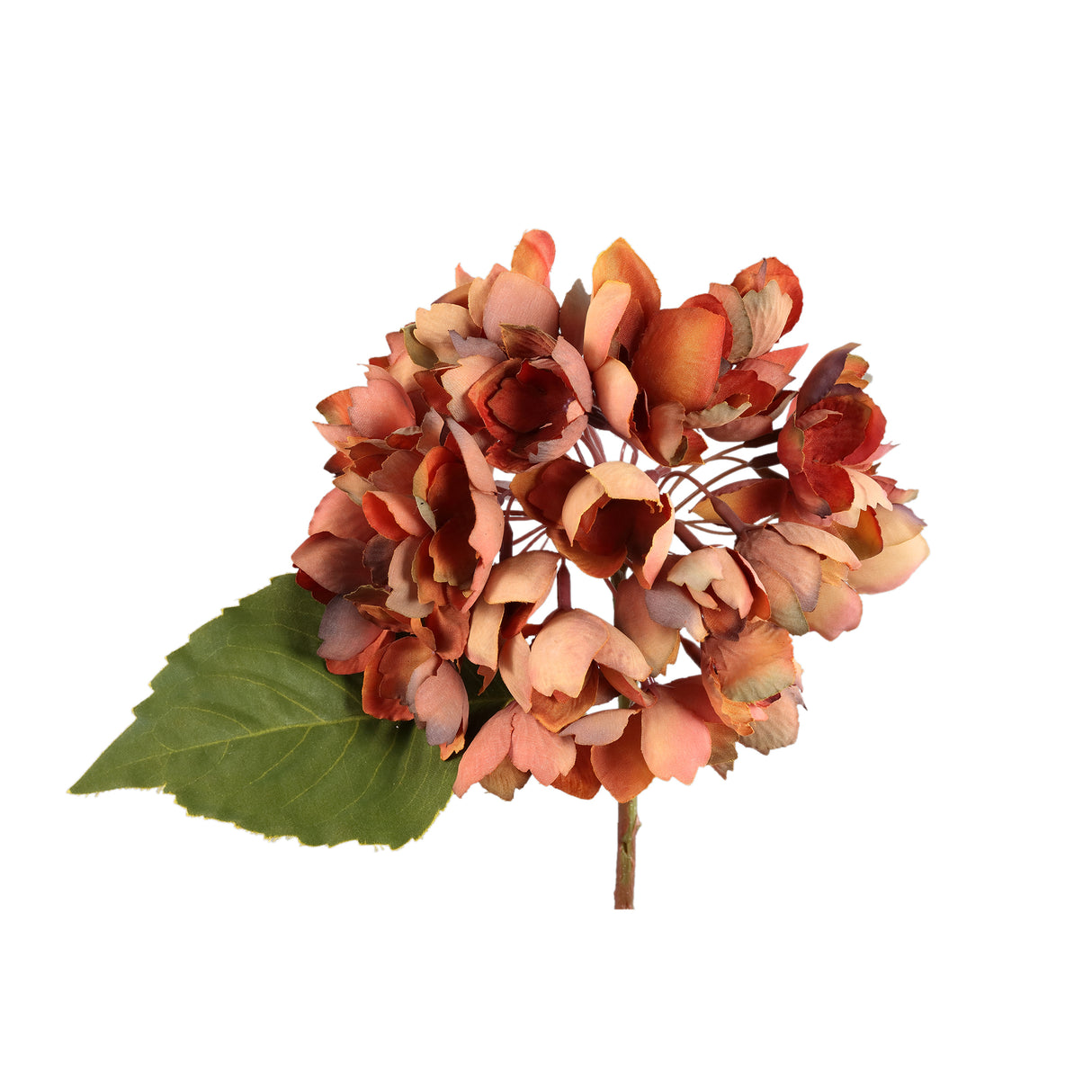 Rust Hydrangea Stem Artificial Flower - FLOWERS - PAPER/PLASTIC - Beattys of Loughrea