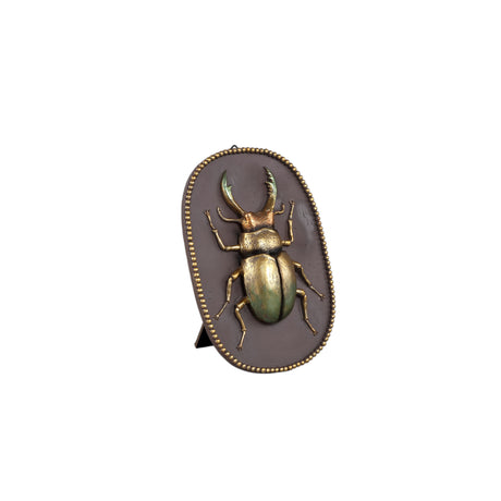Adalay Gold Beetle Wall Hanger 14cm - GARDEN ORNAMENTS INCL SOLAR - Beattys of Loughrea