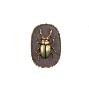 Adalay Gold Beetle Wall Hanger 14cm - GARDEN ORNAMENTS INCL SOLAR - Beattys of Loughrea