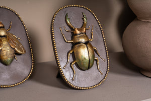 Adalay Gold Beetle Wall Hanger 14cm - GARDEN ORNAMENTS INCL SOLAR - Beattys of Loughrea