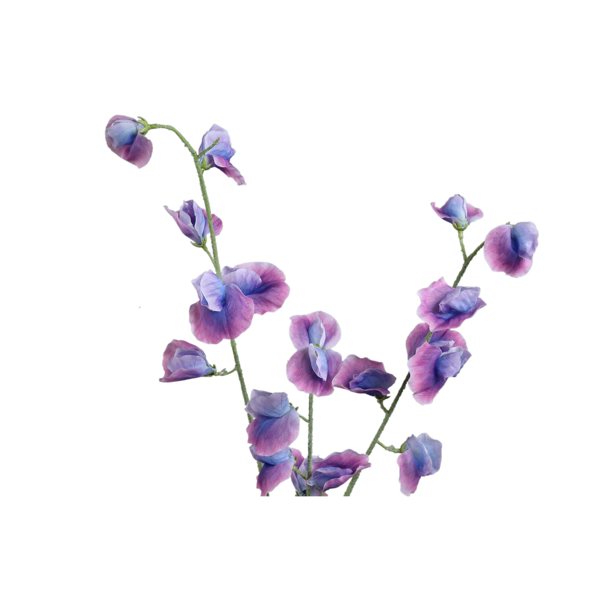 Purple Sweet Pea Spray Artificial Flower - FLOWERS - PAPER/PLASTIC - Beattys of Loughrea