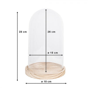 Cloche 18 x 28cm Glass Round Glass Bell Jar - GENERAL LOOSE WARE - Beattys of Loughrea