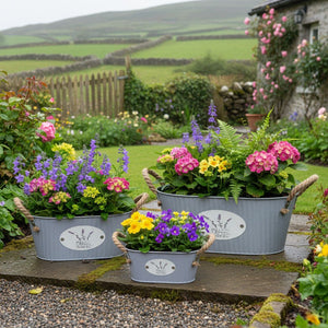 Purple Galvanized Oval Planters – Set of 3 with Jute Handles - PLANTER METAL - Beattys of Loughrea