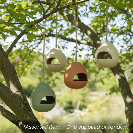 Hanging Bamboo Fibre Bird Feeder Assorted - One Supplied* - BIRD HOUSE/ FEEDERS - Beattys of Loughrea