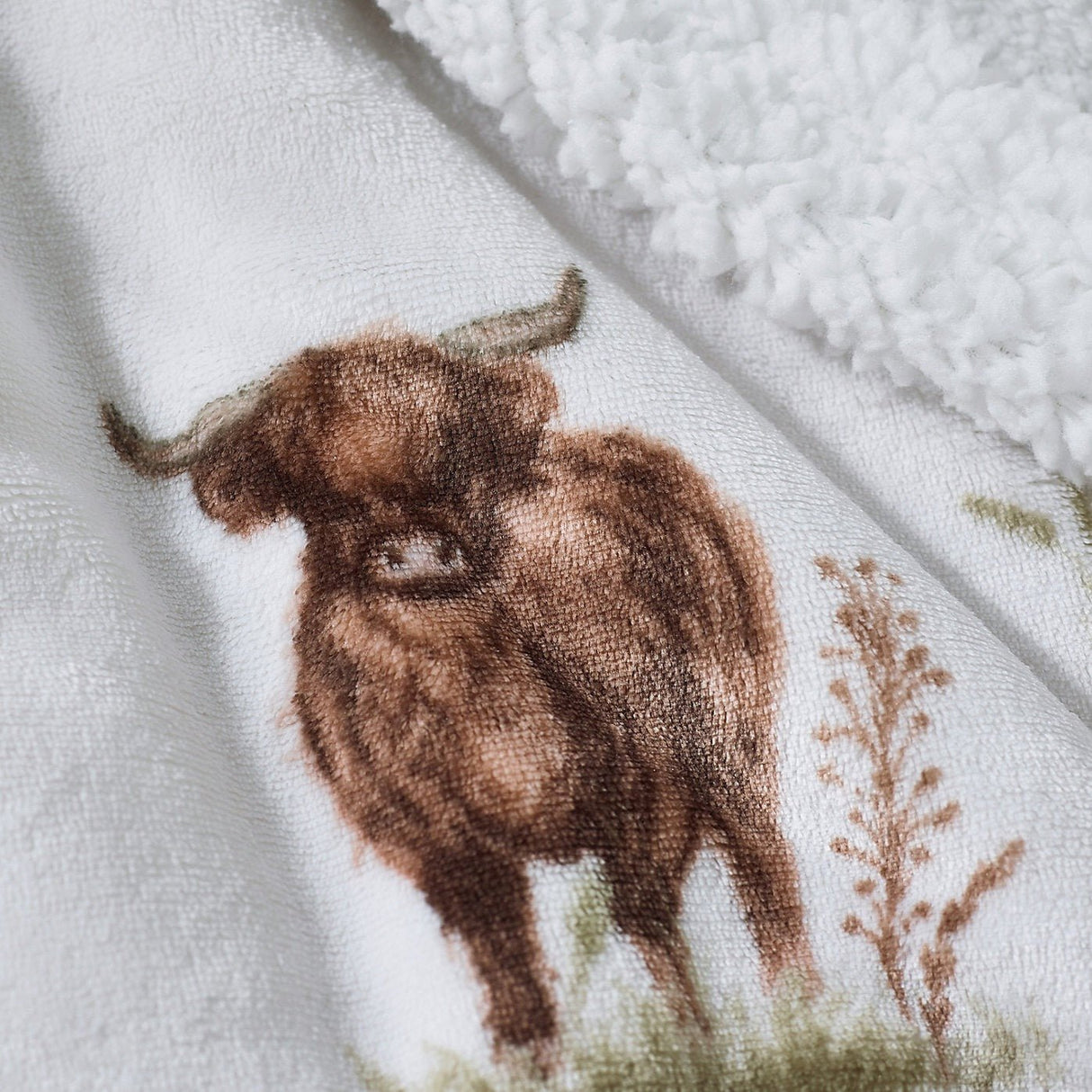 Catherine Lansfield Angus Highland Cow Cosy Fleece Blanket Throw – Natural (130x170cm) - THROWS/BLANKETS - Beattys of Loughrea