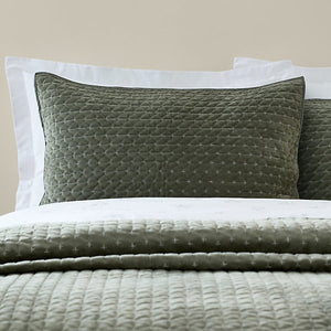 Bianca Fine Linens Attica Velvet Embroidered Pillow sham Pair Green