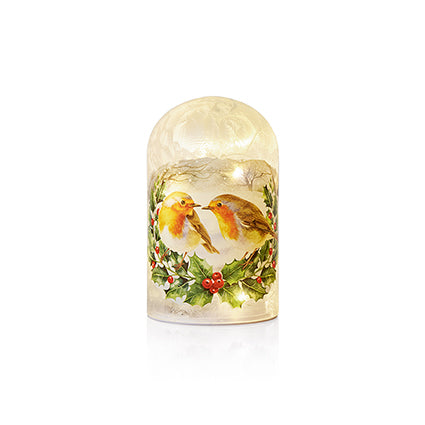 Premier Battery Operated Lit Glass Dome with Robin Scene 15cm