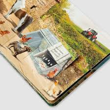 Tractor Ted Lift The Flap Fun On The Farm Book - BOOKS - Beattys of Loughrea