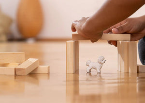 Schleich Bichon Frise - FARMS/TRACTORS/BUILDING - Beattys of Loughrea