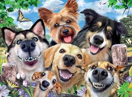 Selfie Dogs Delight 500Pce Puzzle - Beattys of Loughrea | www.beattys.ie