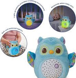 Twinkle Lights Owl - VTECH/EDUCATIONAL - Beattys of Loughrea