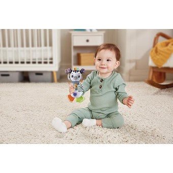 Shaking Sounds Zebra - VTECH/EDUCATIONAL - Beattys of Loughrea