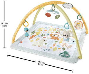 Fisher Price Sensimals Newborn Gym - BABY TOYS - Beattys of Loughrea