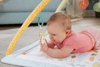 Fisher Price Sensimals Newborn Gym - BABY TOYS - Beattys of Loughrea