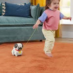 Fisher Price Walk The Pup Pug