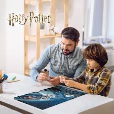 Harry Potter Harry & Ron Flying Over Hogwarts 300Pce 3D Puzzle - Beattys of Loughrea | www.beattys.ie