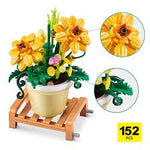 Max Max Premium S1 Garden Pot Plants Capsule - HALLOWEEN, PKT MONEY, JOKE - Beattys of Loughrea