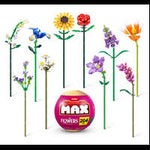 Max Max Premium S1 Rose Collection - HALLOWEEN, PKT MONEY, JOKE - Beattys of Loughrea
