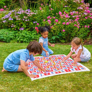 TP Giant Snakes and Ladders - Beattys of Loughrea | www.beattys.ie