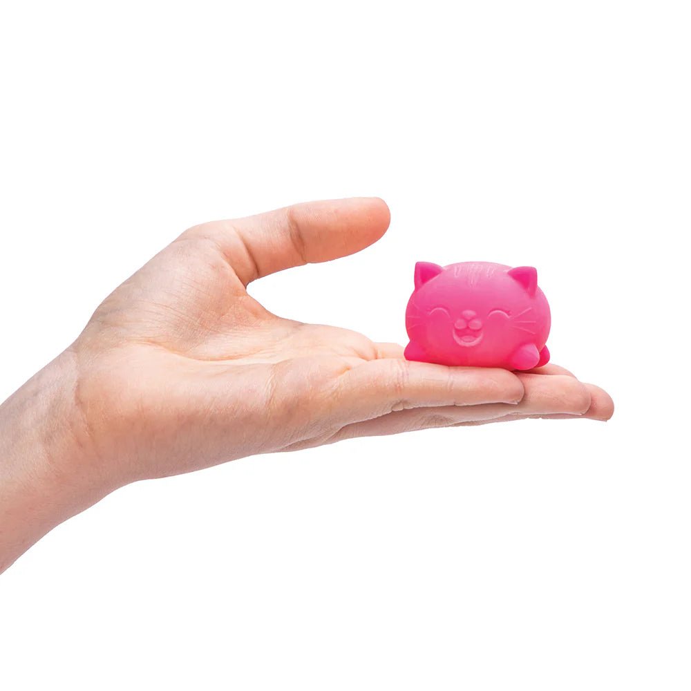 Teenie Needoh Cool Cats - HALLOWEEN, PKT MONEY, JOKE - Beattys of Loughrea