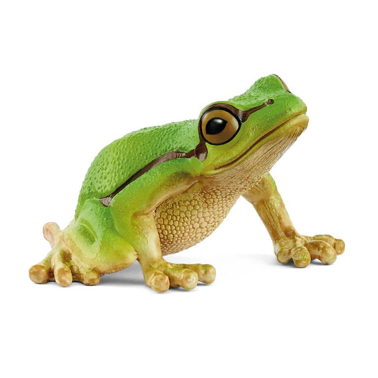 Schleich European Tree Frog - FARMS/TRACTORS/BUILDING - Beattys of Loughrea