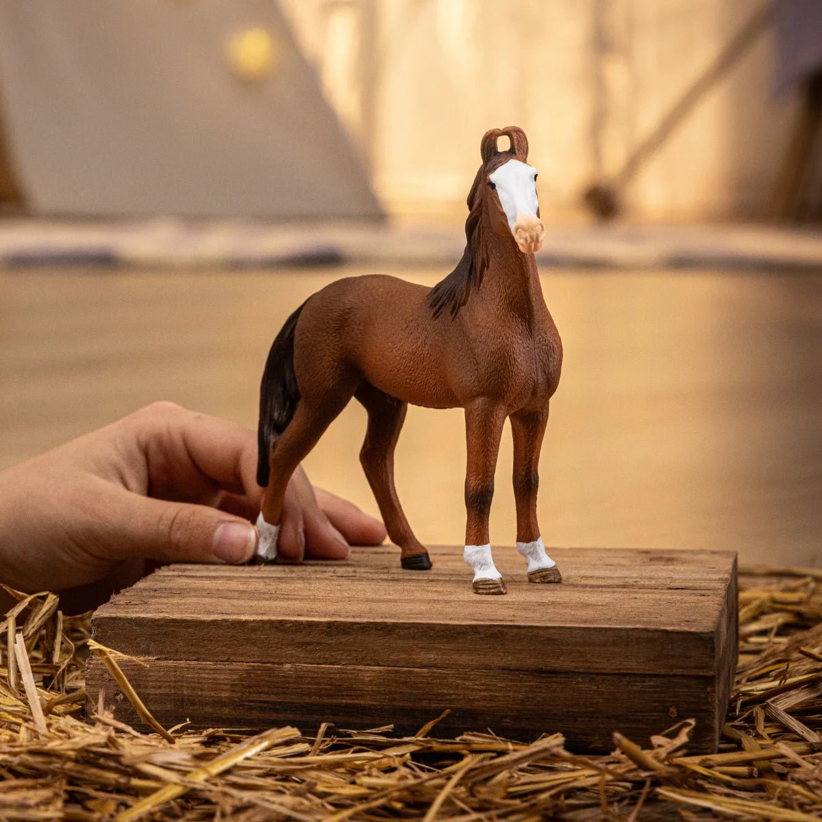 Schleich Marwari Mare - FARMS/TRACTORS/BUILDING - Beattys of Loughrea