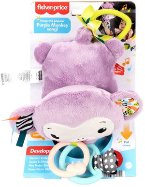 Fisher - Price Sing & Go Purple Monkey - BABY TOYS - Beattys of Loughrea