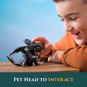 How to Train Your Dragon Roaring Minis - Toothless