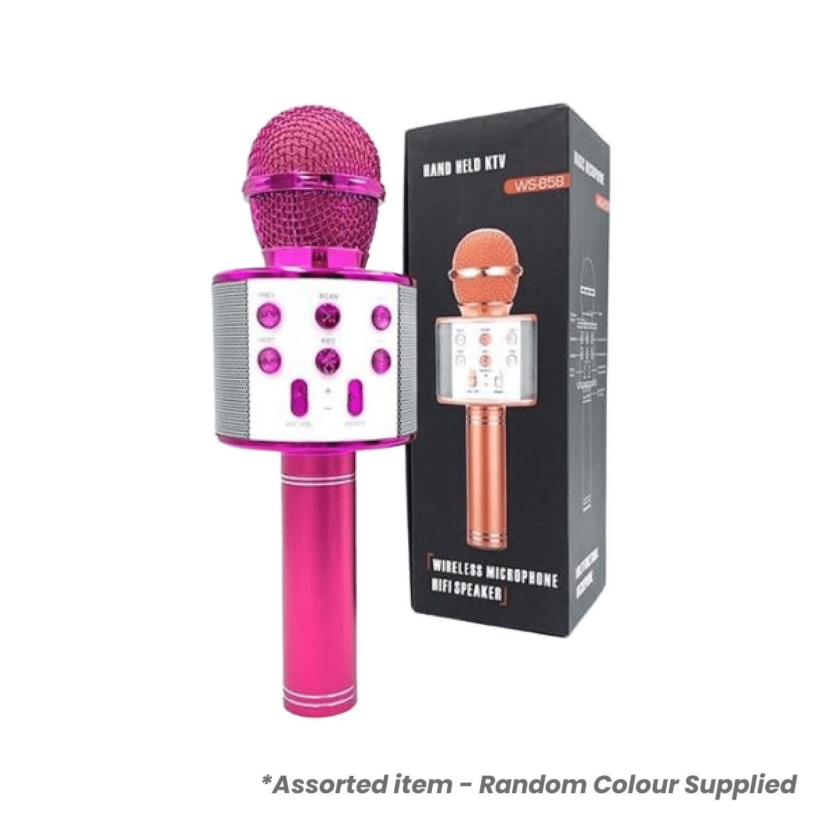 Dance Microphone - Random Colour Supplied - MUSICAL INSTRUMENTS - Beattys of Loughrea