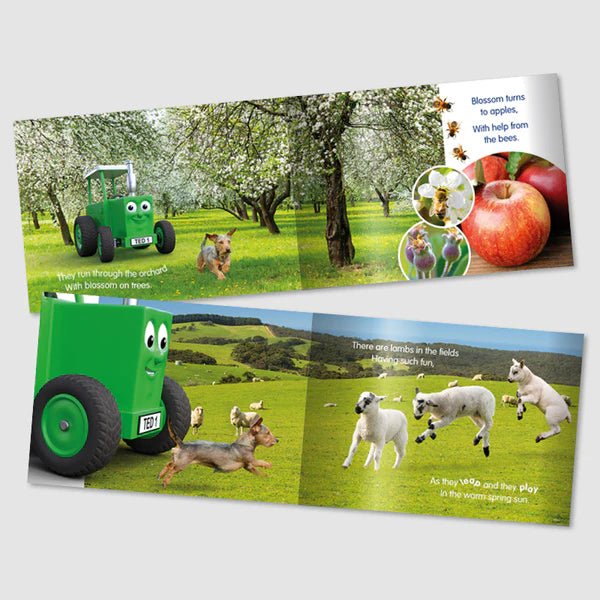 Tractor Ted A Spring Day Book - BOOKS - Beattys of Loughrea