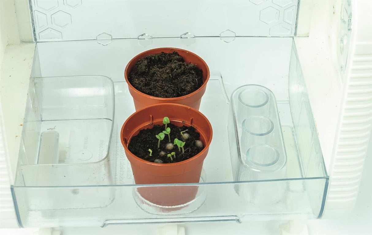 Clementoni Smart - Tech Greenhouse - ART & CRAFT 2 - Beattys of Loughrea