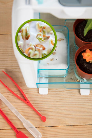 Clementoni Smart - Tech Greenhouse - ART & CRAFT 2 - Beattys of Loughrea