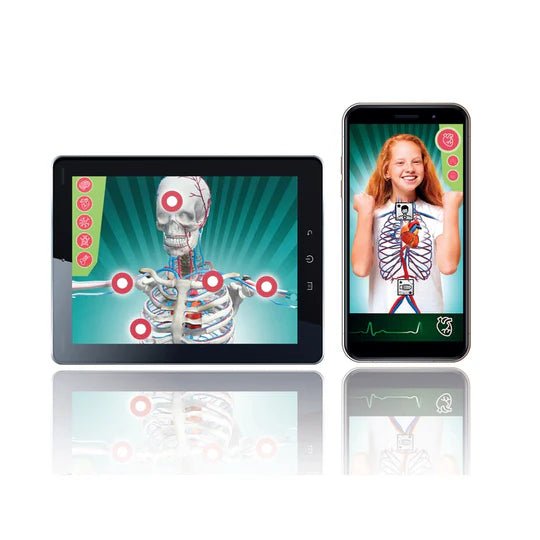 Clementoni Super Anatomy - ART & CRAFT 2 - Beattys of Loughrea