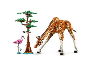 Lego 31150 Wild Safari Animals - CONSTRUCTION - LEGO/KNEX ETC - Beattys of Loughrea