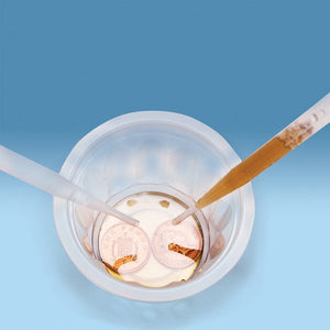 Cool Chemistry - ART & CRAFT 2 - Beattys of Loughrea