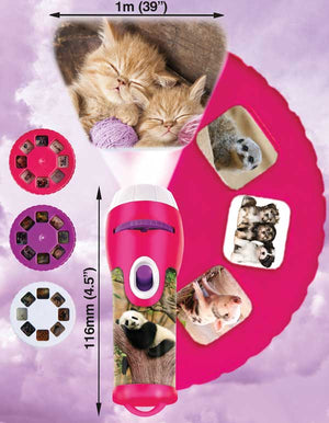 Cute & Cuddly Torch and Projector - Beattys of Loughrea | www.beattys.ie