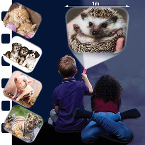 Cute & Cuddly Torch and Projector - Beattys of Loughrea | www.beattys.ie