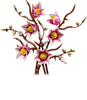 Lego 11510 Bonanicals Magnolia Branches - CONSTRUCTION - LEGO/KNEX ETC - Beattys of Loughrea