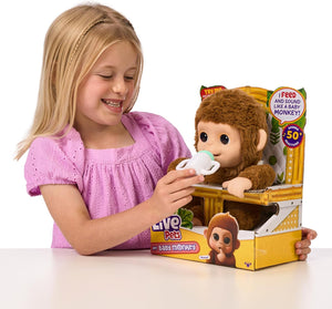 Little Live Pets - My Baby Monkey Mango - DOLLS - Beattys of Loughrea