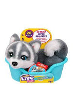 Llp My Really Real - Puppy Mini - DOLLS - Beattys of Loughrea