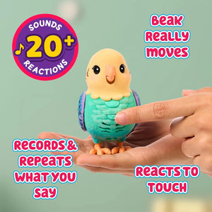 Little Live Pets My Really Real Bird And Cage - Beattys of Loughrea | www.beattys.ie