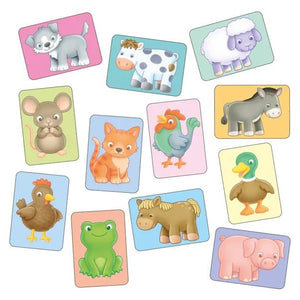 See and Sound Flashcards - Beattys of Loughrea | www.beattys.ie