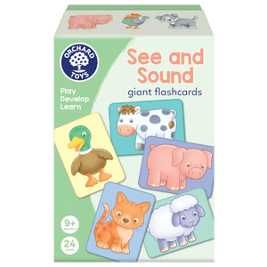 See and Sound Flashcards - Beattys of Loughrea | www.beattys.ie