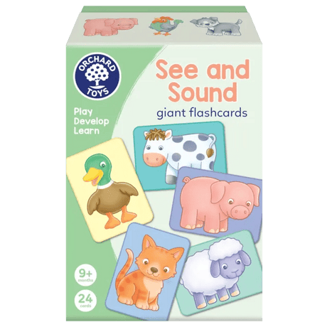 See and Sound Flashcards - Beattys of Loughrea | www.beattys.ie