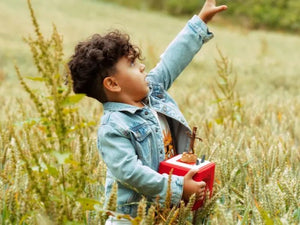 Stick Man Tonie - Julia Donaldson - DVDS CDS TAPES VIDEOS - Beattys of Loughrea
