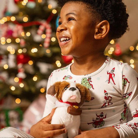 Elf Pets: A St. Bernard Tradition - BOOKS - Beattys of Loughrea