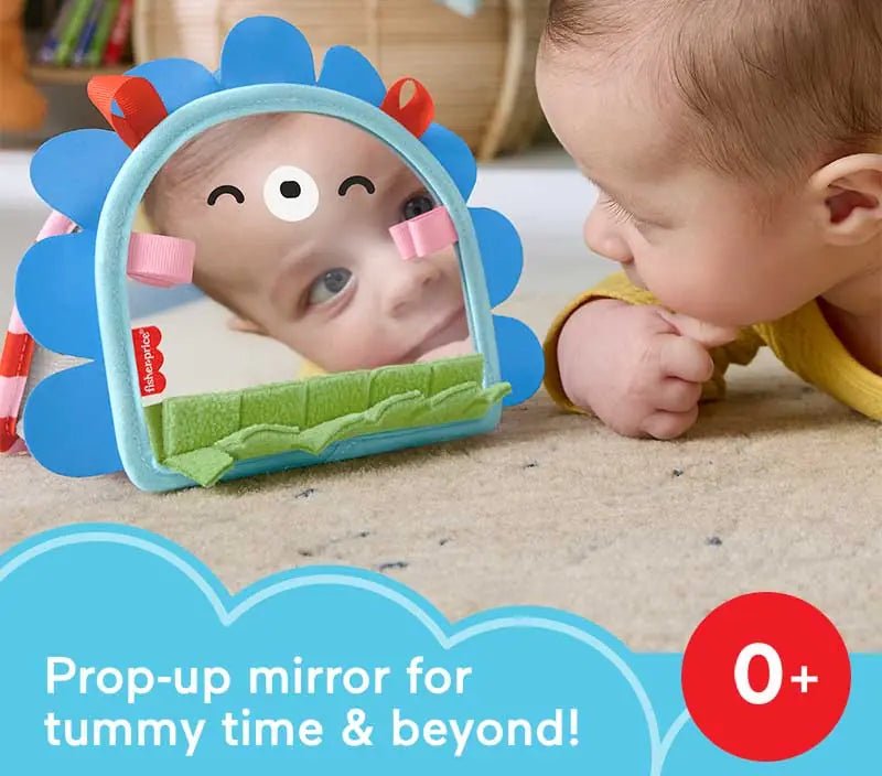 Fisher Price Prop N Go Portable Mirror - BABY TOYS - Beattys of Loughrea