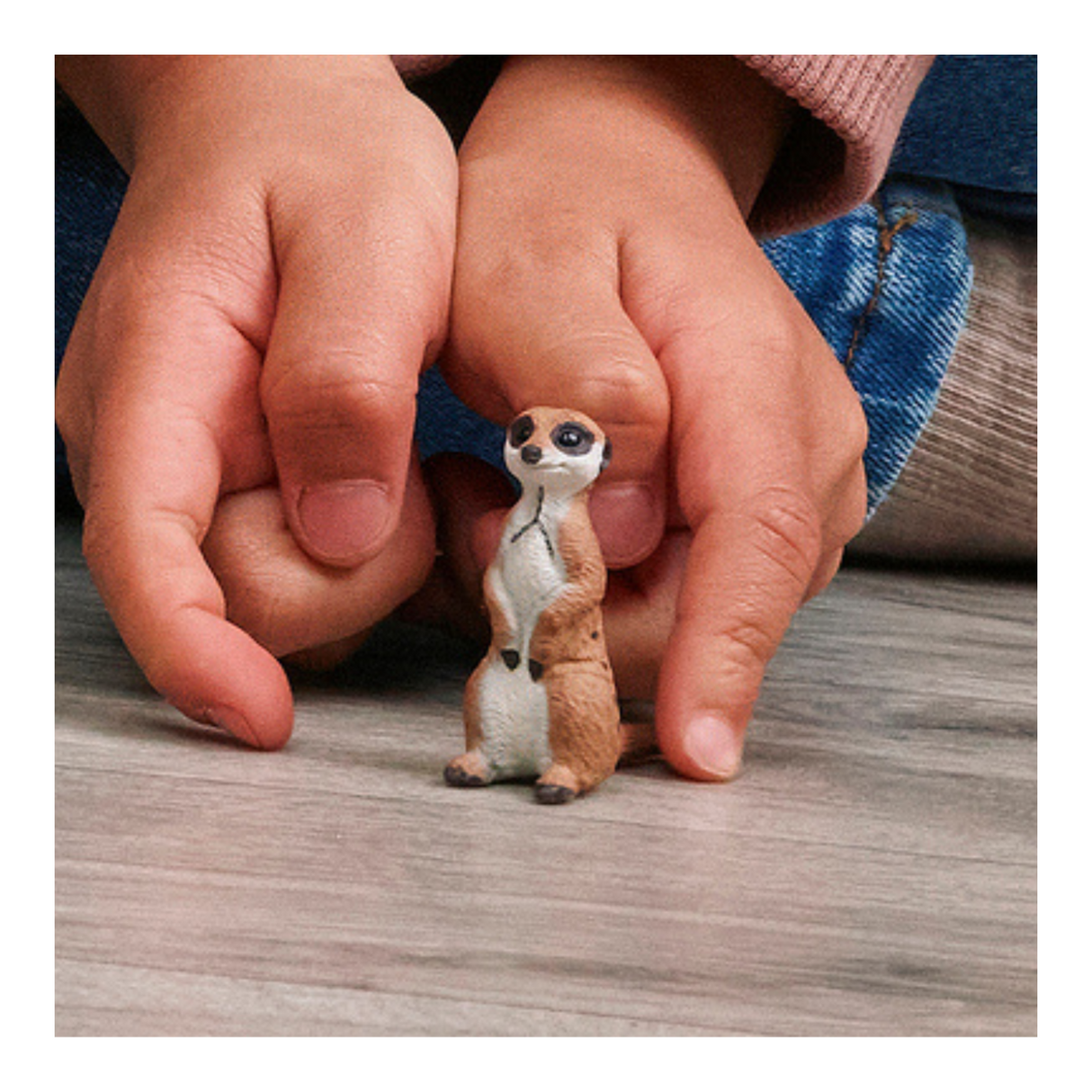 Schleich Meerkat 14935