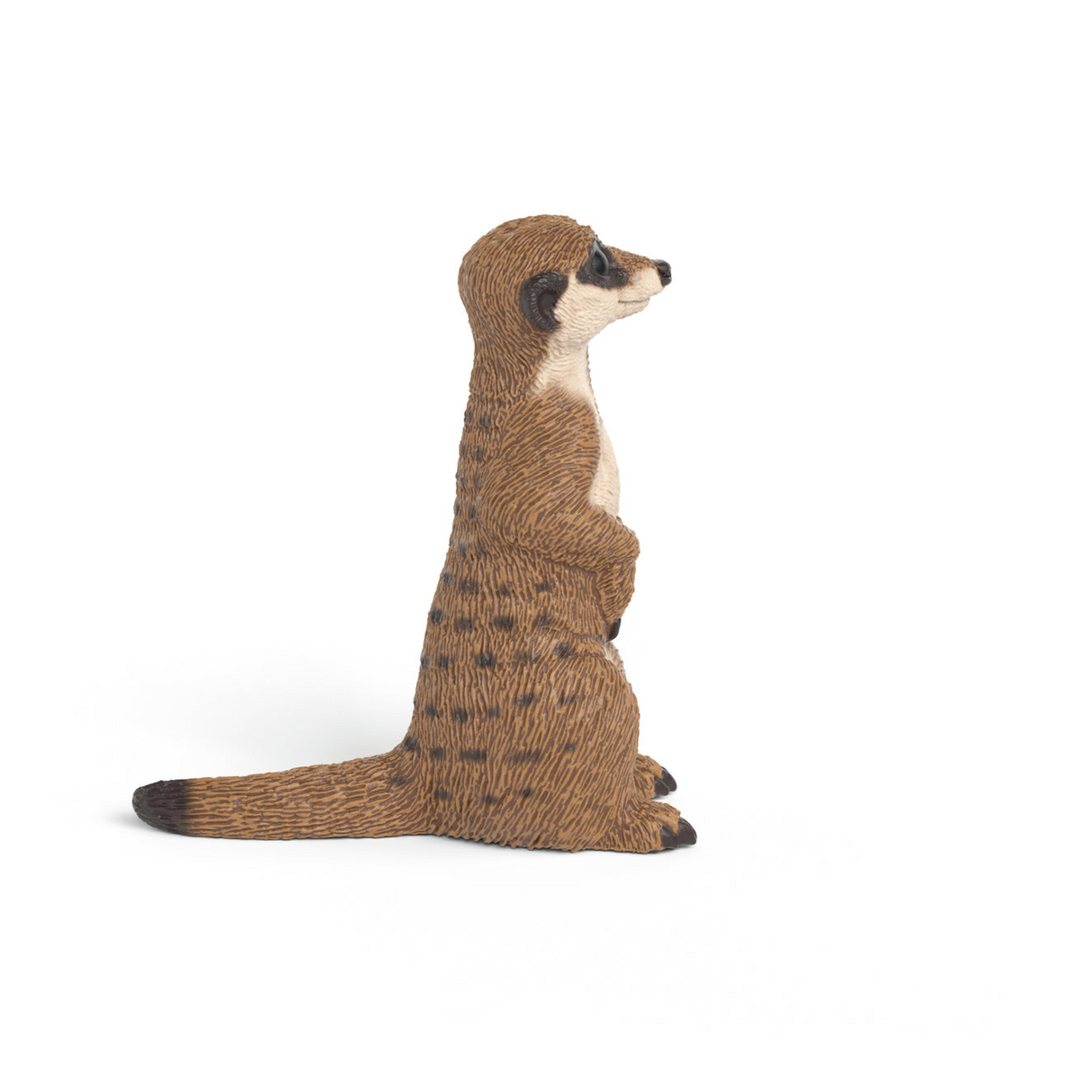 Schleich Meerkat 14935